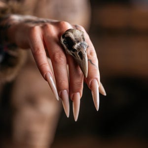 May include: A ring featuring a realistic, beige-toned bird skull as the central focal point. The skull displays intricate bone textures, a pointed beak, and dark, hollow eye sockets, securely mounted on a band that encircles the finger.