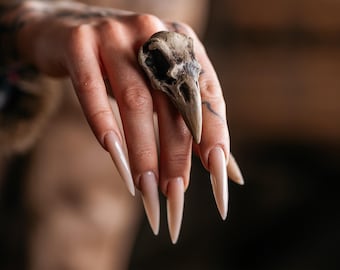 Anillo de calavera de cuervo, anillo celta para ella, joyería de taxidermia, anillo vikingo, joyería de brujería, anillo de bruja gótica