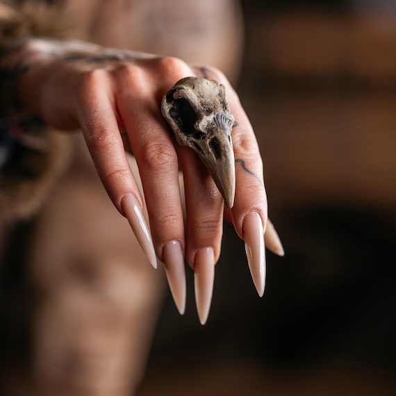 Raven Skull Ring, Celtic ring for her, taxidermy jewelry, Viking ring, Witchcraft jewelry, gothic witch ring
