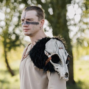 May include: A shoulder armor piece featuring a realistic animal skull replica attached to a black faux fur mantle. The skull is secured with brown leather straps and metal rivets, resting over a plain beige tunic worn by an individual.