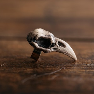 May include: A ring featuring a detailed, off-white bird skull ornament with dark, recessed eye sockets and a curved beak. The skull is mounted on a simple, smooth, metallic band that provides a secure base for the prominent, textured cranial structure.