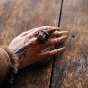 May include: A ring featuring a detailed, realistic bird skull ornament in a muted brown and grey tone. The skull is positioned on the finger, showcasing a pointed beak and hollow eye sockets, crafted with a textured, matte finish for a natural look.