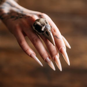 May include: A ring featuring a detailed, beige-colored bird skull as the central focal point. The skull has a pointed beak and hollow eye sockets, securely mounted on a band that sits on the finger. The design highlights the natural bone texture.