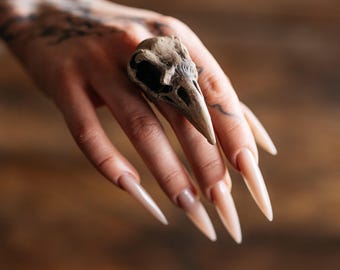 May include: A ring featuring a detailed, beige-colored bird skull as the central focal point. The skull has a pointed beak and hollow eye sockets, securely mounted on a band that sits on the finger. The design highlights the natural bone texture.