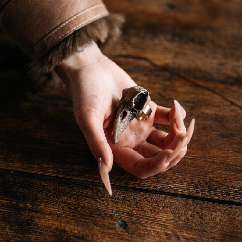 May include: A ring featuring a small, textured, beige and brown bird skull ornament attached to a simple, smooth, gold-toned metal band. The skull displays natural bone details, including a prominent beak and hollow eye sockets, resting on the finger.