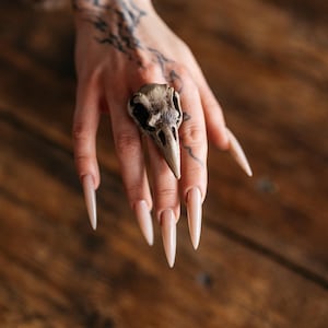 May include: A ring featuring a detailed, beige-colored bird skull as the central focal point. The skull has a pointed beak and dark, recessed eye sockets, mounted on a band that encircles the finger. The design is textured and realistic.