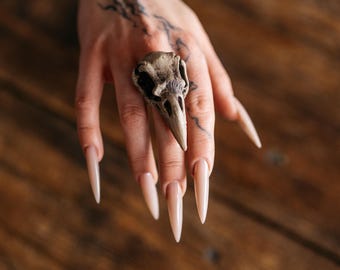 May include: A ring featuring a detailed, beige-colored bird skull as the central focal point. The skull has a pointed beak and dark, recessed eye sockets, mounted on a band that encircles the finger. The design is textured and realistic.