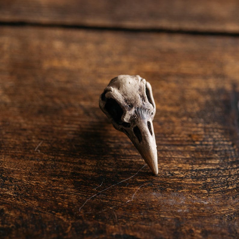 May include: A small, beige bird skull replica featuring a pointed beak, hollow eye sockets, and detailed bone texture. The object is rendered in a light tan color with darker shading in the crevices, showcasing a realistic anatomical structure.