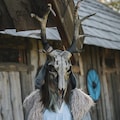 Wendigo Deer Skull Mask with Rune, Antler Mask, Bone Mask, LARP Medieval Cosplay, Fancy Horror Accessory,   Warlock Helmet, Shaman Outfit product logo