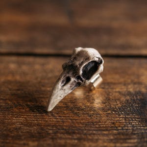 May include: A ring featuring a detailed, off-white bird skull with dark, weathered textures and deep eye sockets. The skull is mounted on a simple, polished silver-toned metal band, creating a stark contrast between the organic bone-like appearance and the metallic finish of the ring base.
