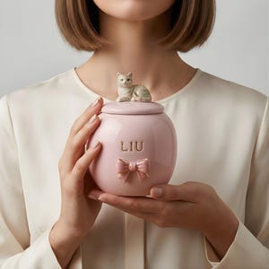 May include: A pink ceramic jar with a lid, featuring a small cat figurine on top. The jar has a bow detail and the name "LIU" in gold lettering. A decorative item.
