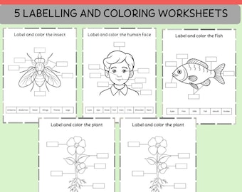 Preschool Science Worksheets: Color, Label & Learn Printable Pack – 5 Educational Pages (digital download)