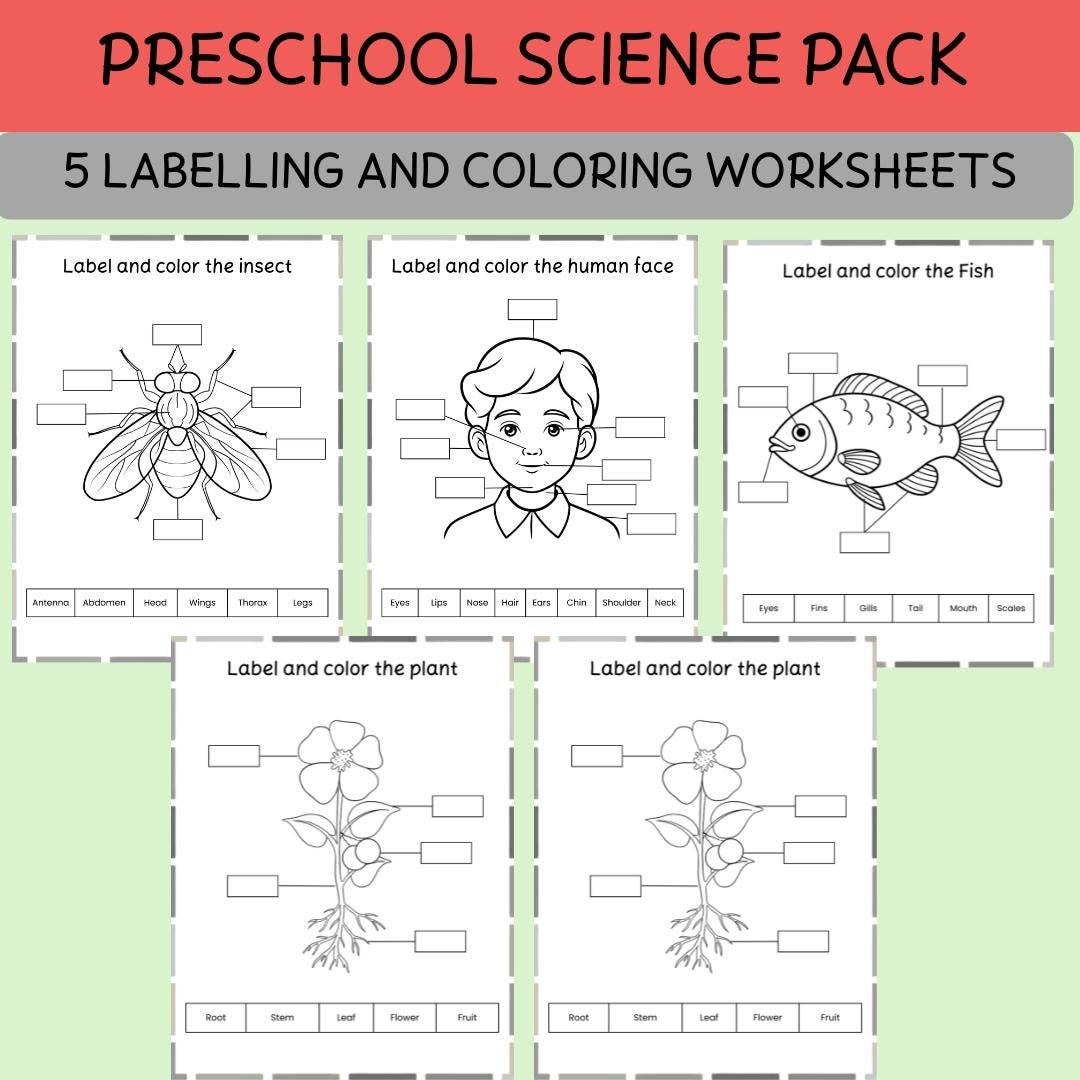 Preschool Science Worksheets: Color, Label &amp; Learn Printable Pack – 5 Educational Pages (digital ...
