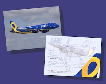 チケットロール １０本 まとめ売り　a319 American Airlines Airbus A319 - Set of 25 Aviation Trading Cards