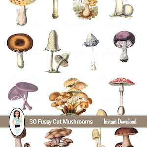 Fussy Cut Mushrooms Ephemera para revistas basura, álbumes de recortes, imágenes imprimibles para manualidades, hojas de collage, imágenes de hongos para manualidades de papel