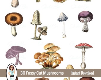 Fussy Cut Mushrooms Ephemera for Junk Journals, scrapbooks, Images imprimables pour l'artisanat, Feuilles de collage, Images de champignons pour l'artisanat en papier
