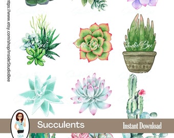 Succulentes | coupe difficile | éphémère | cactus | imprimable | numérique | journal indésirable | album | plantes d'intérieur | pages de journaux | journal des plantes
