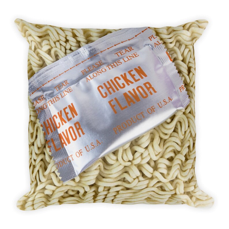 Ramen Noodle Pillow Chicken Flavor Packet Free Shipping | Etsy