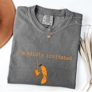 May include: Gray Comfort Colors t-shirt with the text "I'm mildly irritated" in orange. The shirt features an orange cartoon character. A silver necklace with a pendant is draped on the shirt.