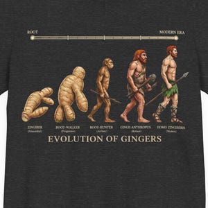 Camiseta de la Evolución de los Pelirrojos, Camiseta Divertida con Meme de Pelirrojos, Regalo de Humor para Pelirrojos, Camiseta de Evolución para Frikis, Camiseta con Chiste Científico
