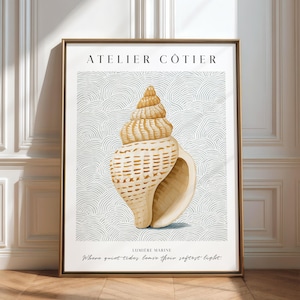 May include: A vertical wall art print in a gold frame featuring a tan seashell centred on a light grey background with a wavy line pattern. The text ATELIER CÔTIER appears at the top, with LUMIÈRE MARINE and Where quiet tides leave their softest light.