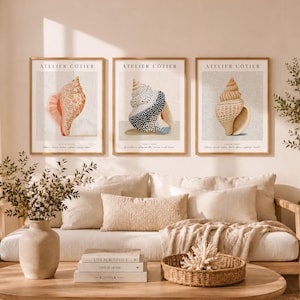 Juego de 3 láminas decorativas para pared, con motivos de conchas marinas costeras, ideal para crear una galería de arte. Sin marco.