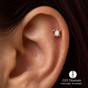 Könnte beinhalten: Ein goldfarbener Ohrstecker in Schildkrötenform mit einem schillernden weißen Opal-Cabochon in der Mitte. Das Schmuckstück besteht aus G23-Titan mit Innengewinde, ist für Knorpelpiercings konzipiert und zeigt eine detaillierte Schildkrötenform.