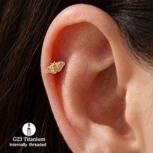 Könnte beinhalten: Ein goldfarbener Ohrstecker in Form einer Motte mit detaillierter Flügelstruktur. Das Schmuckstück verfügt über ein Innengewinde und besteht aus G23-Titan. Das Mottenmotiv befindet sich am oberen Knorpelbereich des Ohrs und hat ein metallisches Finish.