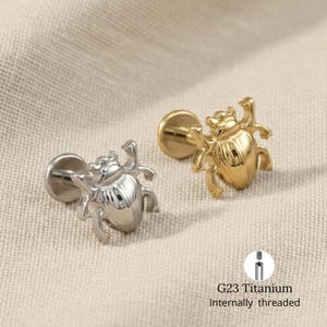 Könnte beinhalten: Zwei Körperschmuck-Ohrstecker, einer silberfarben und einer goldfarben, jeweils mit einem detaillierten Käferdesign. Die Ohrstecker werden auf neutralem Hintergrund gezeigt. Der Text "G23 Titanium Internally threaded" ist ebenfalls sichtbar.