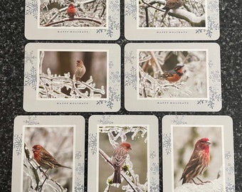 Bird portrait Holiday Cards with envelopes 7 total