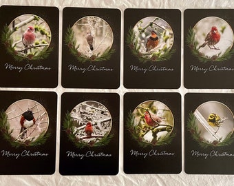Bird portrait Holiday Cards with envelopes 8 total