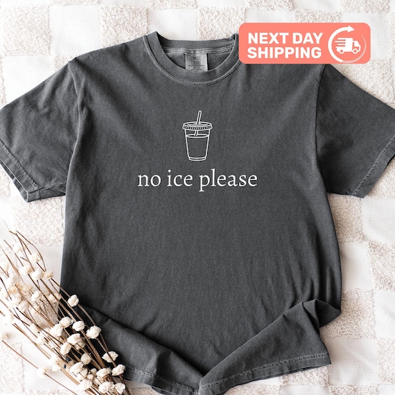 No Ice Please Shirt, Abolish ICE Shirt, Social Justice Tee, Political Activist Gift, Immigration Rights Shirt, Comfort Colors Graphic Tee
