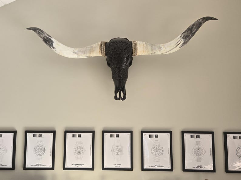 May include: A decorative black bull skull with long, curved horns, mounted on a wall. The horns are white with black tips. Below the skull are framed watch designs.