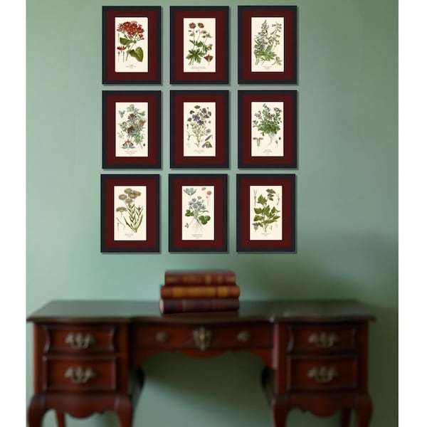 Juego de 9 impresiones botánicas de Dark Academia: arte de pared con galería de flores de estilo antiguo