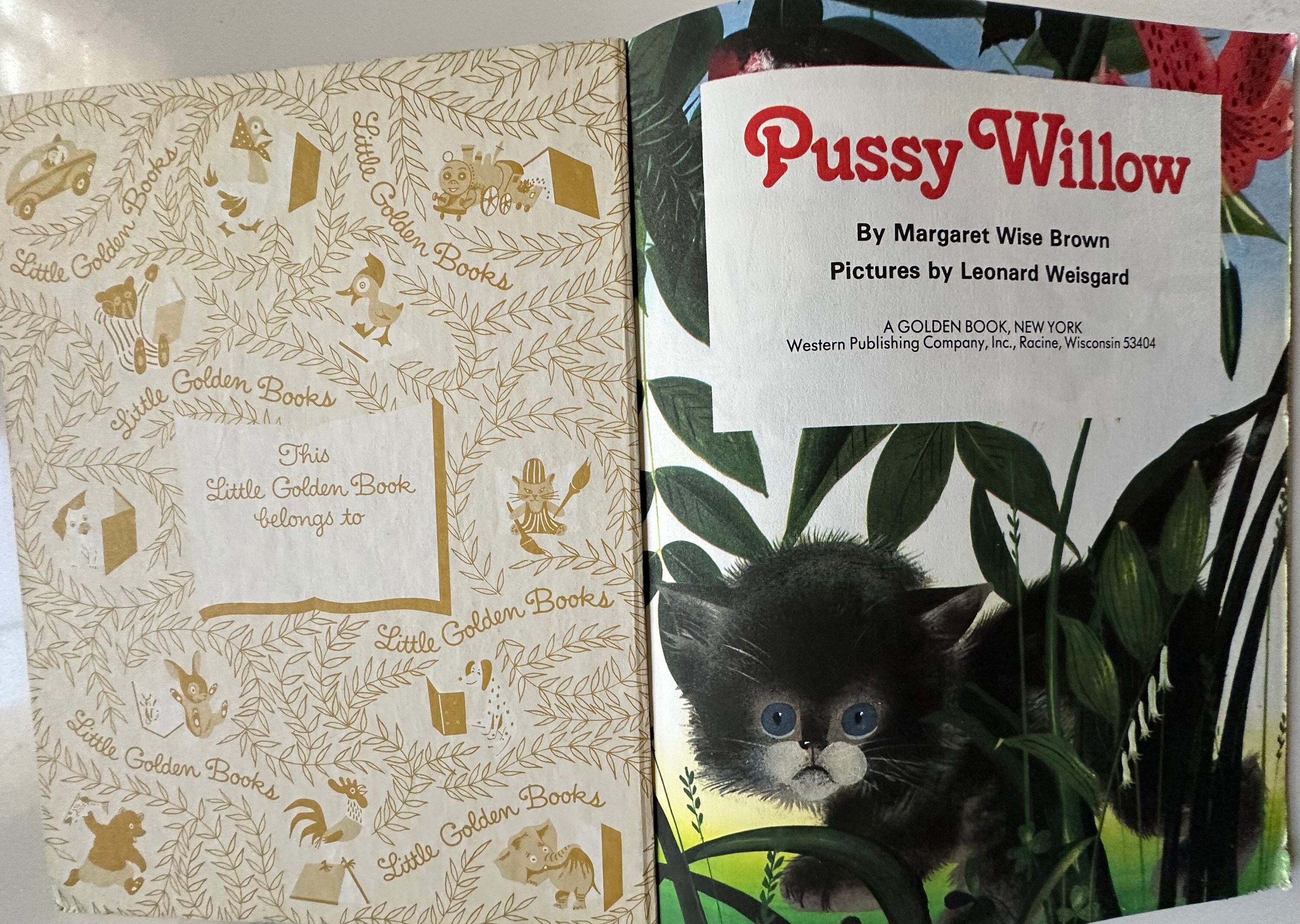 アン Public R18 Disc - Cobalt - Small PUB-53404 - buy bike