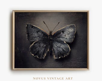 May include: A framed print featuring a detailed depiction of a black butterfly with gold-toned edges. The butterfly is centered on a dark background, and the print is labeled "NOVUS VINTAGE ART" with "ARCHIVAL QUALITY PREMIUM PRINTS" below.