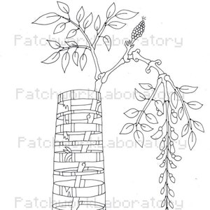 May include: A black and white line drawing of a vase with a long, thin stem and a wide, round base. The vase is filled with a branch of leaves and flowers.
