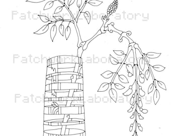 Unusual and Vintage planters, coloring book pages download.