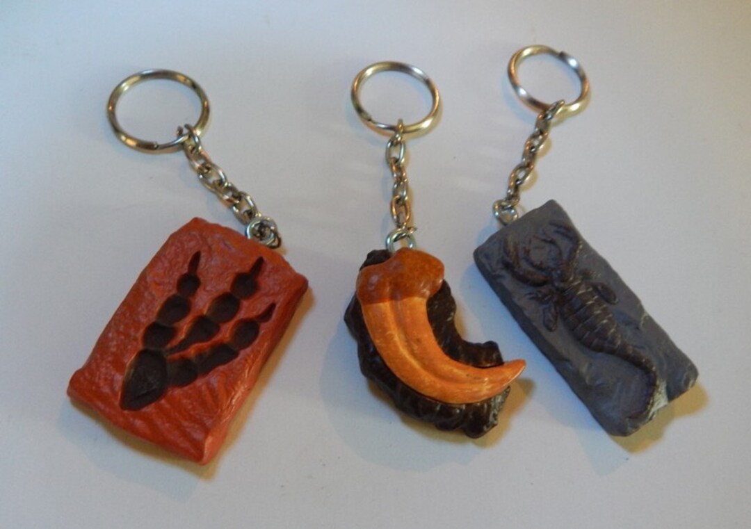 Dinosaur Fossils Keychain Sea Scorpion Footprint Fossil Toy Etsy