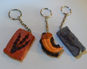 Dinosaur fossils keychain sea scorpion footprint fossil toy kitch upcycle science