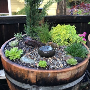 May include: A wooden barrel planter filled with various succulents, small plants, and decorative stones. A small, dark stone fountain is in the center. The barrel has metal bands and is set outdoors.