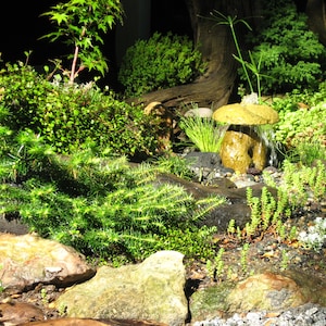 May include: A miniature zen garden with lush green plants, small trees, and a stone waterfall feature. The scene is illuminated, highlighting the textures of the rocks and foliage. The garden evokes a sense of tranquility and natural beauty.
