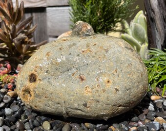 Rock Water Fountain | Bird Bath | Garden Décor | Handmade | Garden Ornament | Water Feature |You can also use solar pump