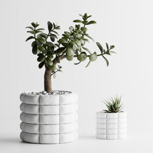 May include: Two white, quilted planters, one large and one small, each holding a green succulent plant. The larger planter has a jade plant with a brown trunk and small white stones at the base. The smaller planter has a spiky succulent.