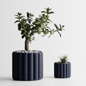 May include: Two dark blue, ribbed planters, one large and one small, each holding a different succulent plant. The larger planter contains a small tree with green leaves and small white stones. The smaller planter has a small succulent.