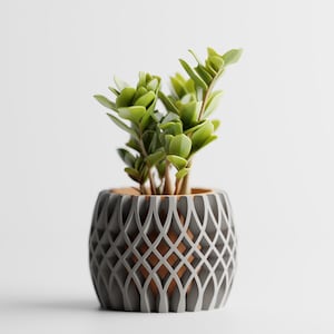 May include: A small ZZ plant in a decorative gray and white patterned pot. The plant has vibrant green leaves and is set against a white background. The pot has a unique lattice design.