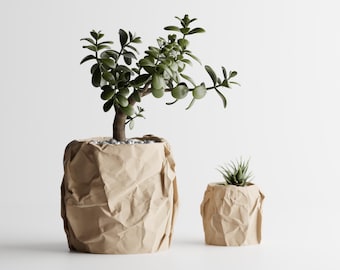 May include: Two planters with a crinkled, light brown paper-like texture. The larger planter holds a green jade plant with thick, rounded leaves, while the smaller planter contains a small, spiky green succulent plant.