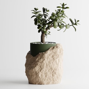 May include: A jade plant in a dark green pot, set within a textured, beige stone-like planter. The plant has small, round, green leaves and a brown trunk. The background is a plain white.