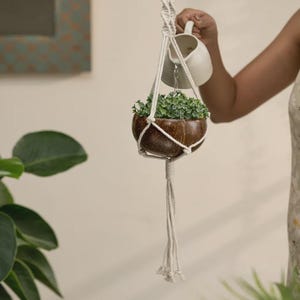 May include: A hanging macrame plant holder with a brown coconut shell planter filled with green plants. The planter is suspended by white macrame rope. A person is watering the plant with a white ceramic pitcher.
