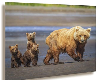 Brown Bear Family on Beach - Wildlife Art, Alaska Nature Wall Decor,